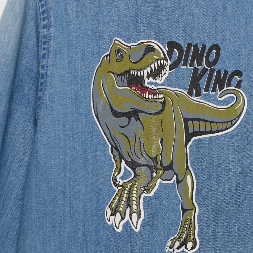 Boys Shirt